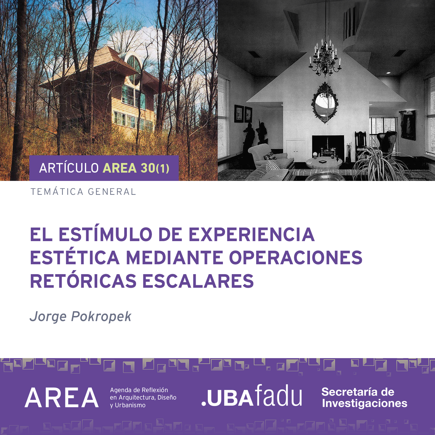 Flyer del artículo de Jorge Pokropek